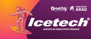 Site Web, Gazduire web Arad